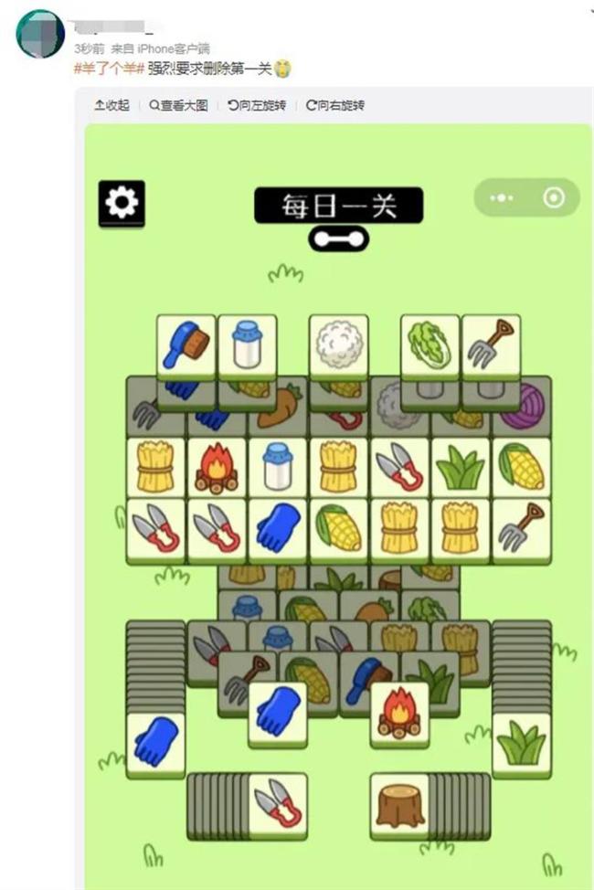 网友质疑《羊了个羊》恶意玩梗蔡徐坤：黑西装练习生元素众多
