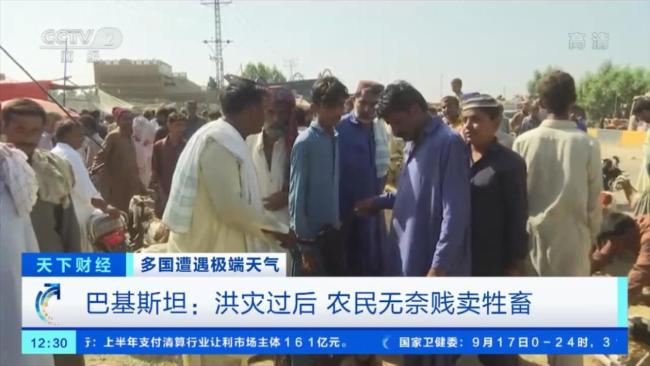 巴基斯坦洪灾致经济损失超100亿美元