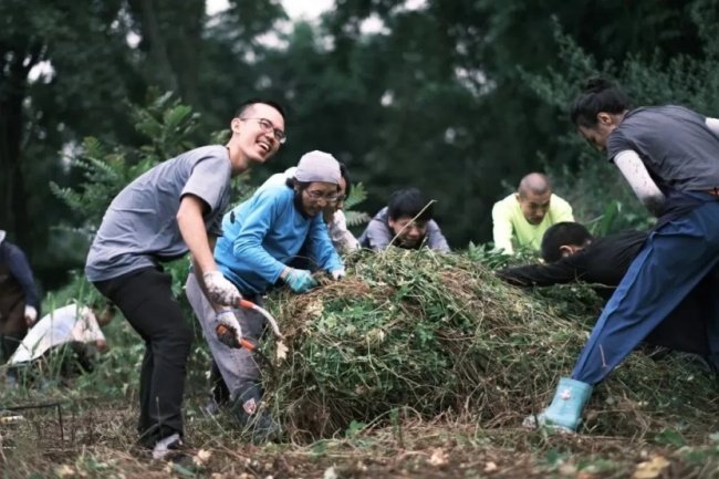 远山的回响｜铁牛村“新村民”来自北上广：在土扎根 建未来乡村