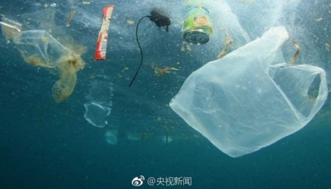 地球上最干净的地方已有微塑料污染