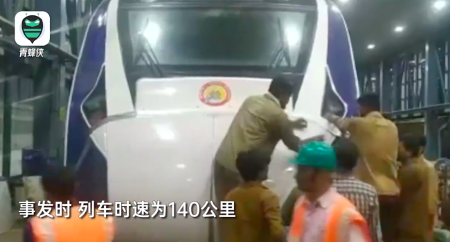 印度"半高铁"列车撞牛受损
