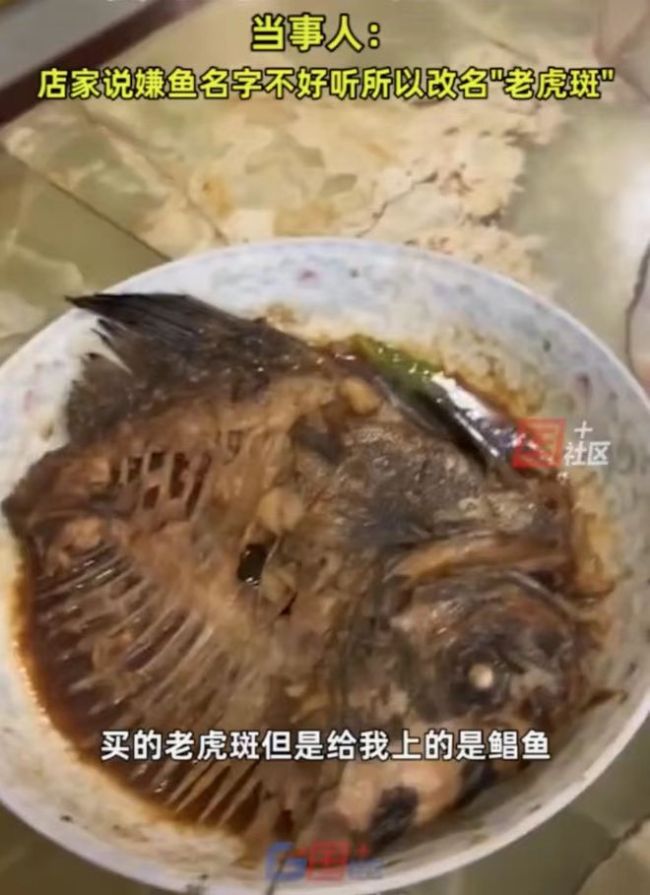 女子加价点老虎斑端上来变鲳鱼 厨师长：这样卖多年了