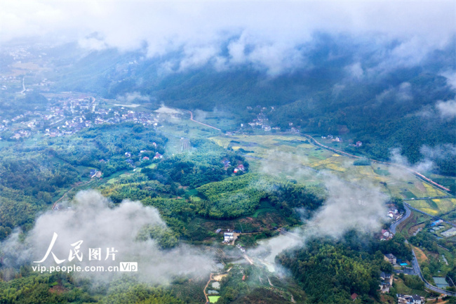 浙江安吉：秋雨迷蒙胜春景