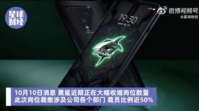 黑鲨裁员比例近50%