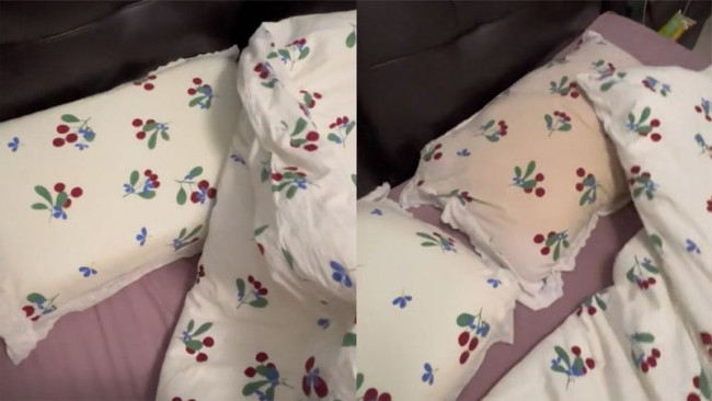 女子吐槽丈夫脑袋掉色枕头焦黄