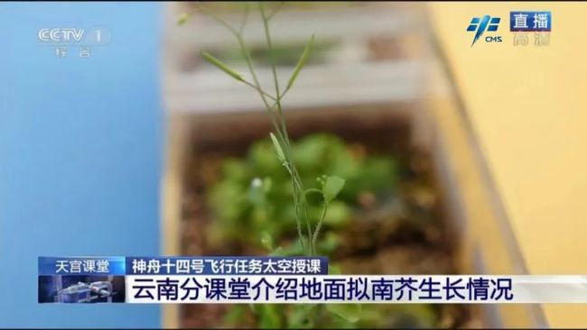中国空间站第三次太空授课活动取得圆满成功