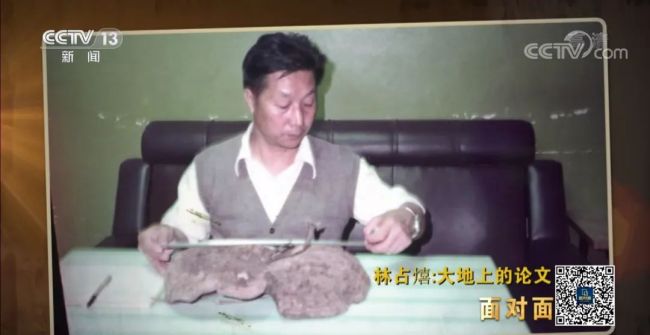 在党代表通道上,他谈起了这株“幸福草”