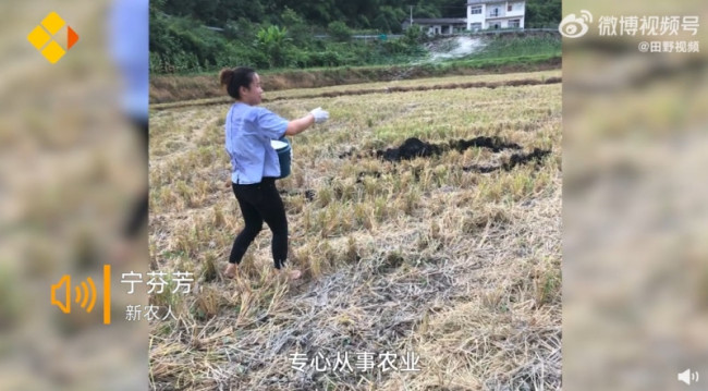 90后姑娘辞去村干部全职当农民：种1000多亩水稻