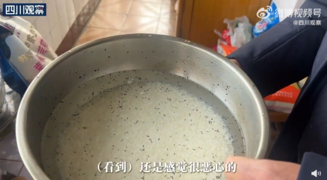 爷爷米缸长满小虫淘米飘满盆