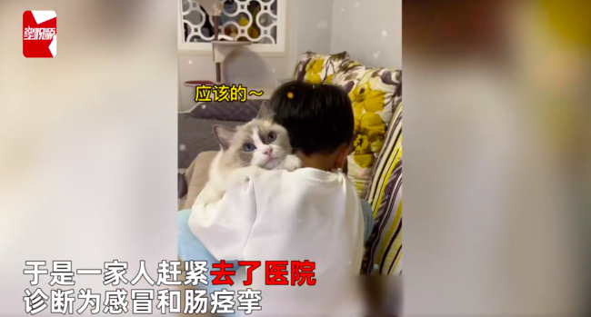 猫咪不停抓被子被吵醒发现孩子生病 喵喵队立大功