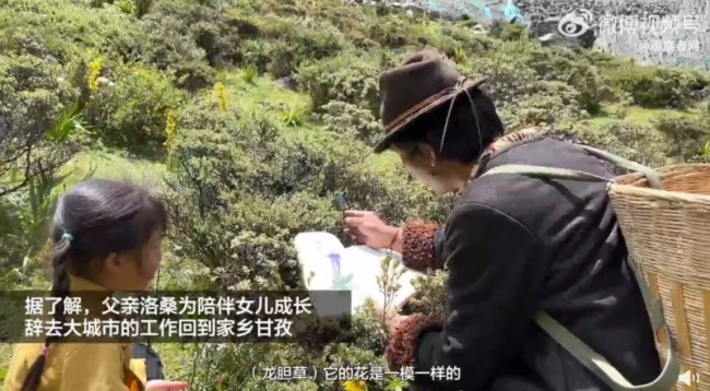 藏族父亲带4岁女儿爬山学本草纲目 网友：羡慕哭了