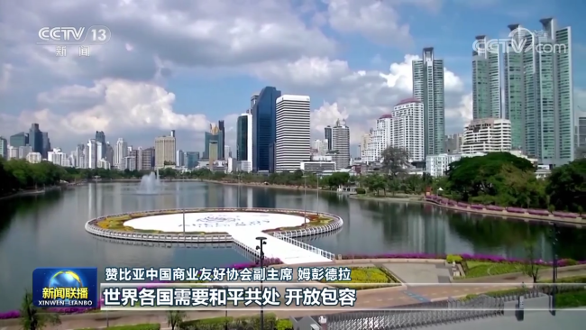 国际人士高度评价习近平主席在亚太经合组织第二十九次领导人非正式会议上的重要讲话
