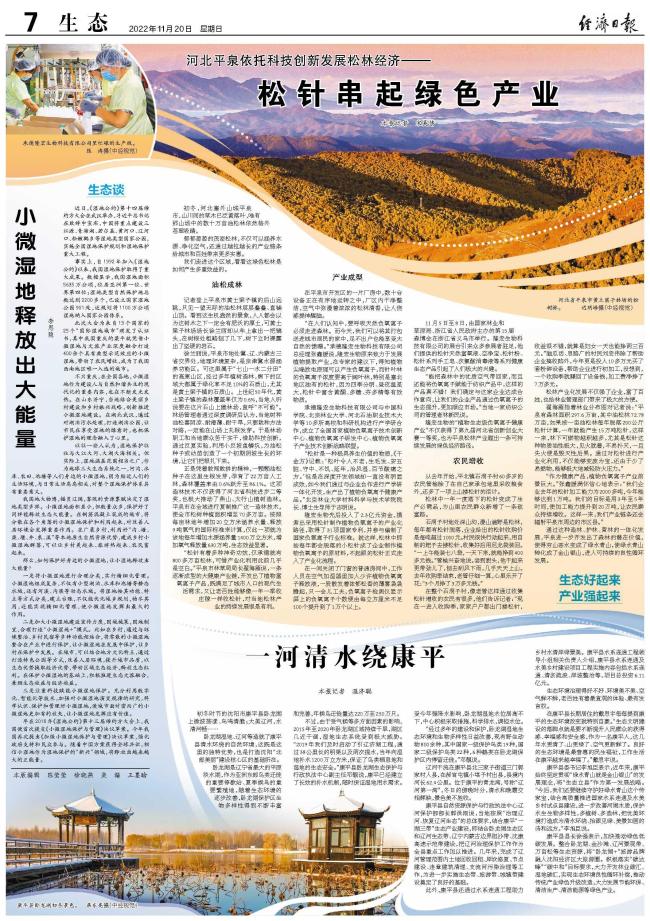 小微湿地释放出大能量
