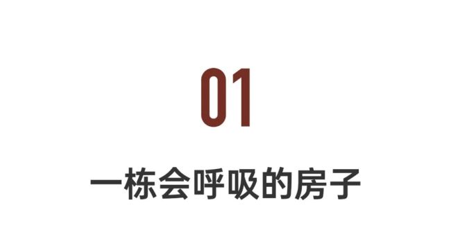 夫妻隐居杭州山脚：400㎡零污染城市病都没了！美的天花板