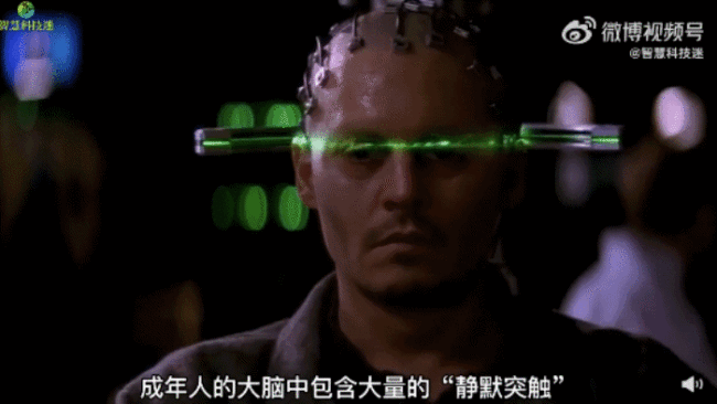 研究称成人大脑中有大量静默突触