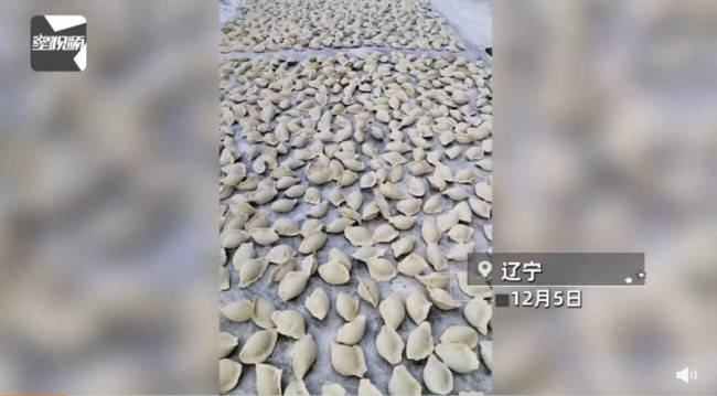 东北女子在院子地上铺满饺子：冬天会吃完这些饺子