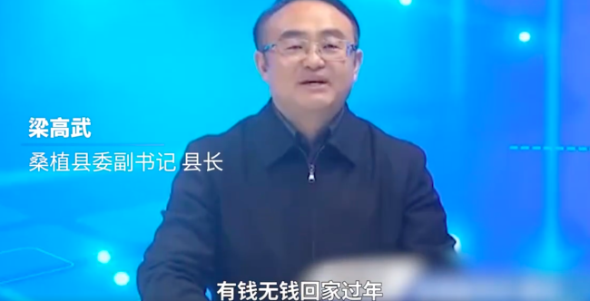 “欢迎回家过年”！