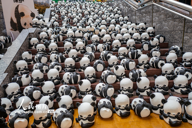 大熊猫巡展 呼吁生物多样性保护【4】