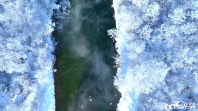 額爾古納氣溫跌破-40℃ 不凍河仍流水潺潺