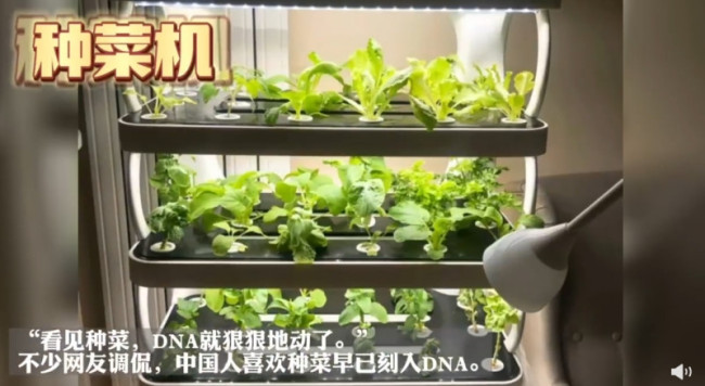 淘宝公布2022年度十大宝贝！网友：阳台种菜机？