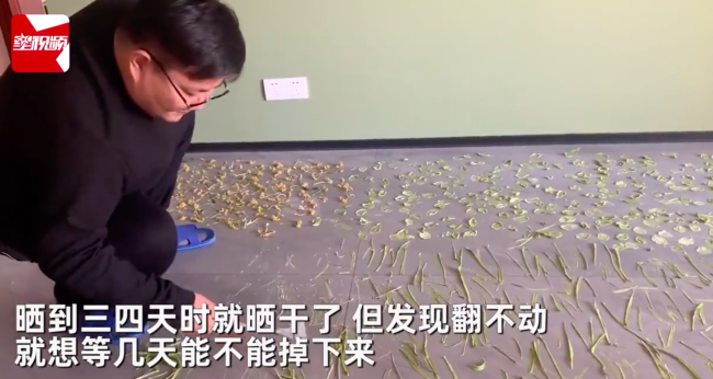 女子开地暖晒干菜7天后全粘地砖上