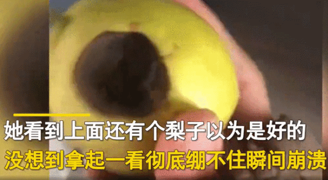 女子阳性婆婆老公将水果儿子全打包走！网友：杀人诛心