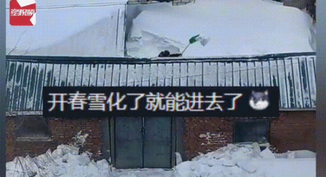 大雪下满院 男子挖半天还没进屋：大哥早晨回家傻眼