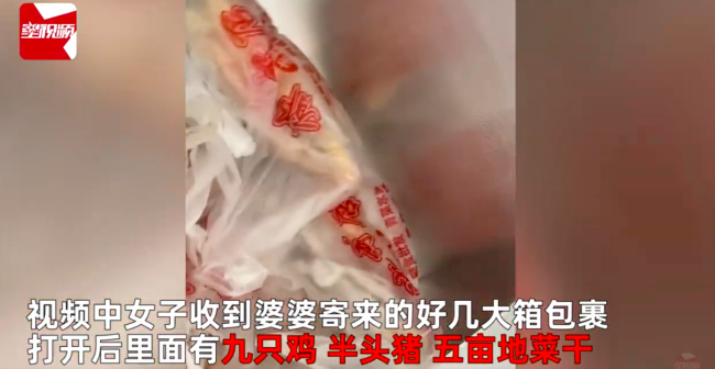 婆婆给儿媳寄9只鸡5亩地菜干邮费1千