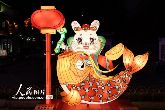 江苏南京：花灯璀璨迎新年【4】