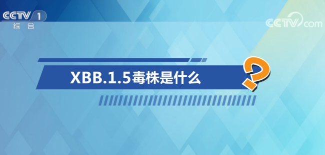中国疾控中心专家释疑XBB毒株 回应公众关切问题