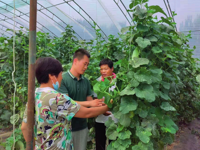 瞭望丨源头涵育乡村振兴带头人