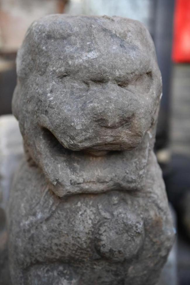 六岁男童郊野游玩 发现疑似明代石狮，这份新年礼物网友羡慕了！