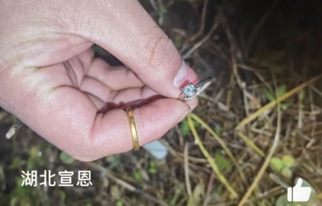 万元戒指被亲戚家孩子扔进农田，还是两枚！