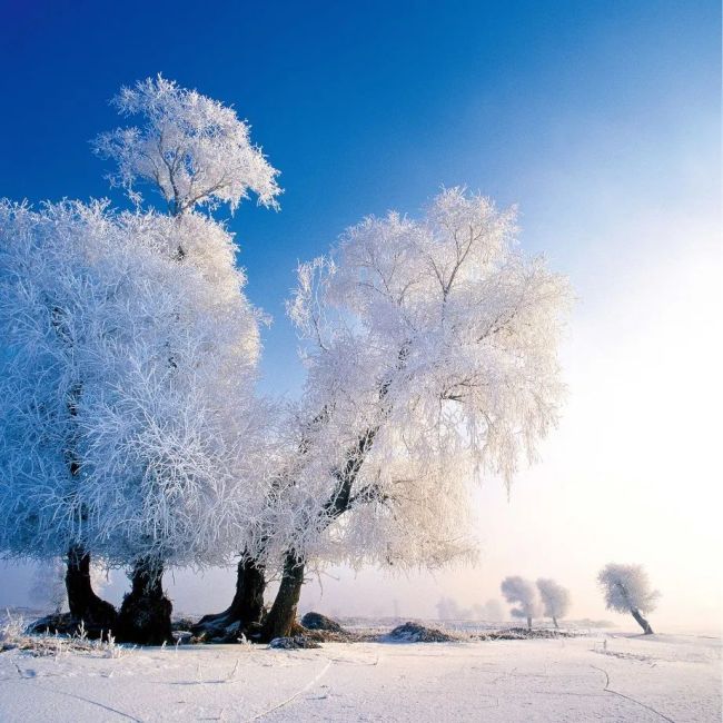 坐着高铁穿越“仙境”！限时景观来了