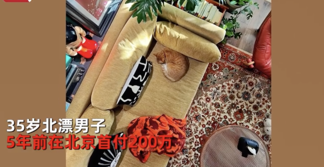 北漂男5年前首付200万买70平老破小 装修用色大胆养200棵植物