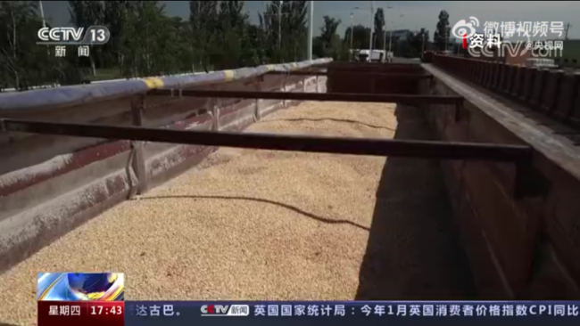 乌克兰出口粮食近半被用来喂猪