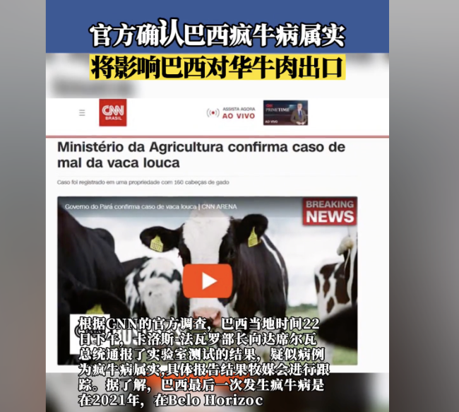 巴西一农场现疯牛病病例