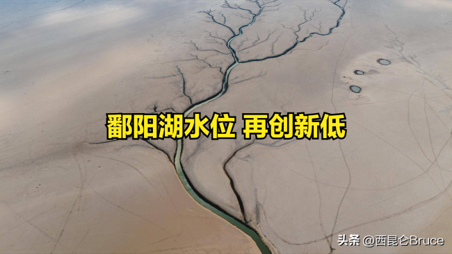 鄱阳湖又枯了，水位线跌破8米，水量补给不足，鱼群该如何生存？