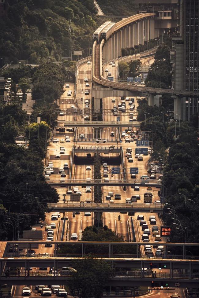 上天入地穿花海，这里的列车不一般！