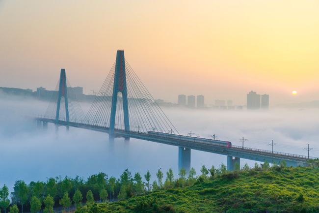 重庆建成世界规模最大山地城市轨道交通网