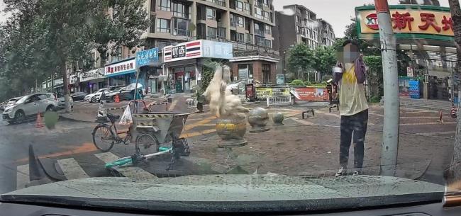 猫咪从天而降砸坏路边车辆 