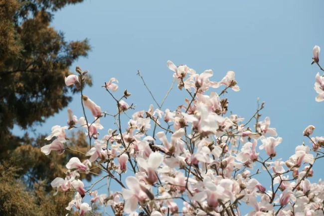 惊蛰习俗有哪些？起来看看吧↓