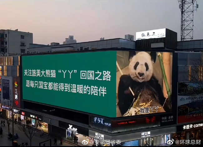 北京动物园回应丫丫回家：已经做好迎接准备