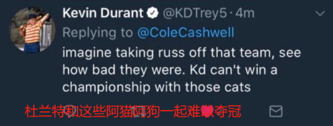 詹姆斯称赞布朗尼，疑似贬低队友：比阿猫阿狗更强