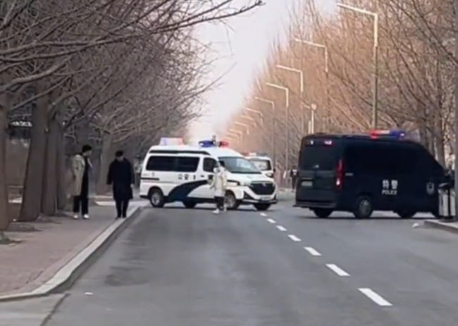 沈阳农大校园出现野猪！一头到案，网友：逃离浪浪山？