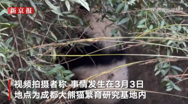 “福菀”被泼水后躲角落 网友：别逼我文明用语 