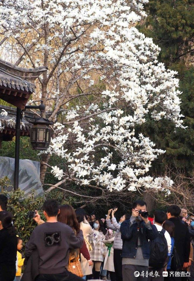 山东又到了乱穿衣的季节，“隔天如换季”的天气大戏将上演