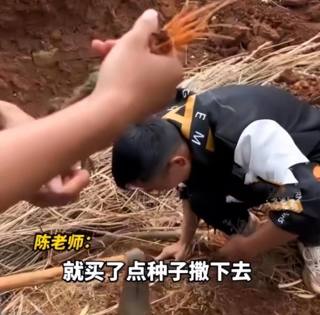 大学生种半年胡萝卜，出土细如虫草，老师：老鼠进去都摇头 网友们看完后说，直接炒胡萝卜丝