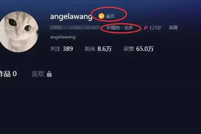 王诗龄疑签约经纪公司社交账号认证为演员 网友感慨生在罗马就是好