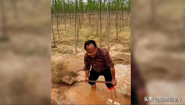 治沙林被“断水”面临枯死 煤矿曾承诺的供水并未实现    